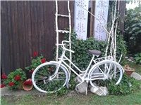 136e3d90-2016-08-22 18.22.50.jpg